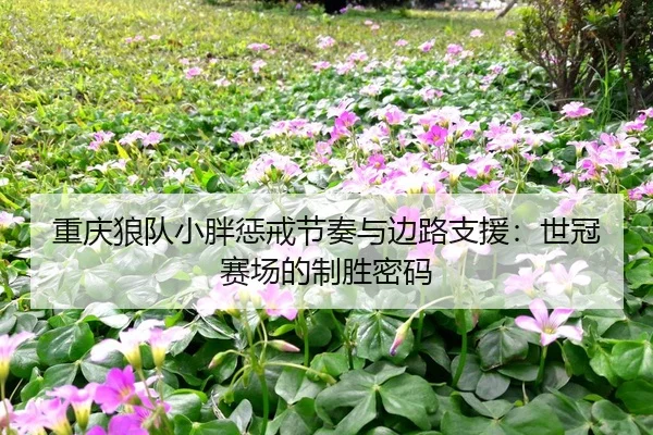 chong-qing-lang-dui-xiao-pang-cheng-jie-jie-zou-yu-bian-lu-zhi-yuan-shi-guan-sai-chang-de-zhi-sheng-mi-ma-3-137.jpg